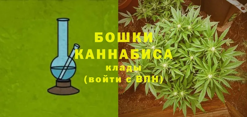 где купить наркоту  Звенигово  Каннабис VHQ 